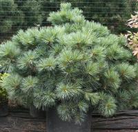 24e4391d-70cf-11ed-be6f-001e673ebdea-1