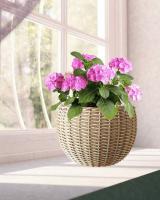 a7bff9e1-d667-11f0-891e-246e9611e8f6-1