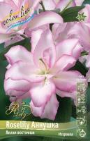 e533b5f2-1c7b-11e8-9db1-005056c00008-1