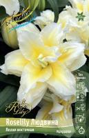 63e317e3-5618-11ea-ab37-005056c00008-1