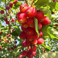 3cbe89c4-bba2-11f0-891d-246e9611e8f7-1