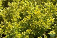 385fde7f-1145-11f0-8918-246e9611e8f6-1