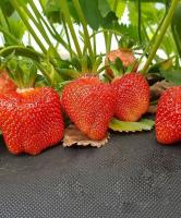 d3f3f824-4150-11f0-8919-246e9611e8f7-1