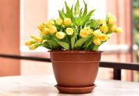 1a03777e-567a-11ed-aea3-001e673ebdea-1