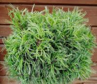 b2fd1479-d4fa-11f0-891e-246e9611e8f6-1