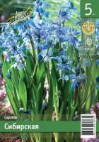 6c137bc5-4dbf-11f0-891a-246e9611e8f6-1
