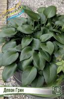 0c704081-2e88-11e8-a7ea-005056c00008-1