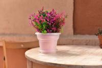 087315d7-56a1-11ed-aea3-001e673ebdea-1