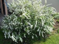 377ad678-a341-11eb-93b3-005056c00008-1