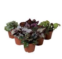 2ded85aa-ea0f-11ef-8915-246e9611e8f5-1