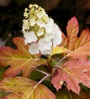 d60dbb3c-c1fa-11f0-891d-246e9611e8f7-1