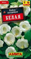 7d524c93-dcea-11dd-9138-00500454e615-1