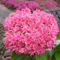 6009124d-55ab-11f1-892a-246e9611e8f6-1