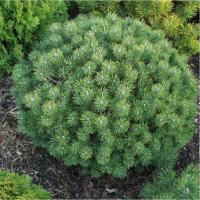 348417e0-d736-11f0-891e-246e9611e8f6-1