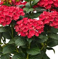 25ee679f-c20e-11f0-891d-246e9611e8f7-1