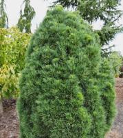 1da2fcb3-d764-11f0-891e-246e9611e8f6-1