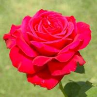 0e541cb4-3f46-11f1-892a-246e9611e8f6-1