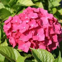 403eb4b1-a730-11e2-af9d-00500454e615-1