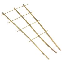 84e81204-d1da-11df-8f8c-00500454e615-1