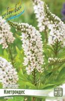 2dbcf211-1ba7-11e8-9db1-005056c00008-1