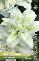 0ad668b6-11a1-11ed-bf9f-005056c00008-1