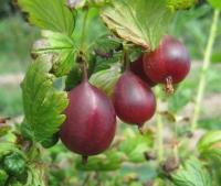 3b76f92c-bada-11f0-891d-246e9611e8f7-1