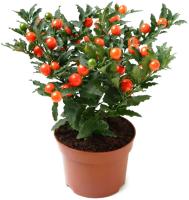 c6f3bf8d-7e78-11ec-8bcd-005056c00008-1