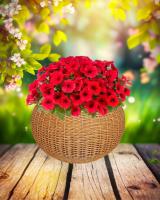 b3fd25b1-da84-11f0-891e-246e9611e8f6-1