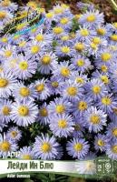 cafaa920-1c4c-11f1-8926-246e9611e8f6-1