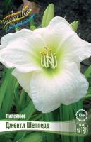 6515424a-1bbb-11e8-9db1-005056c00008-1