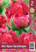 09256845-4d95-11f0-891a-246e9611e8f6-1
