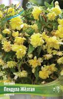 aeead991-6f31-11ec-8bcd-005056c00008-1