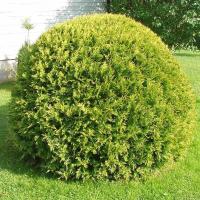 8b16f2cb-1744-11ef-890b-246e9611e8f5-1