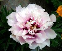 4808ab7e-fffd-11f0-8924-246e9611e8f6-1