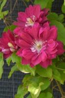 2b696c4f-1071-11e7-b683-001e673ebdea-1