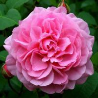 e809d2ac-df88-11ed-97e3-001e673ebdea-1