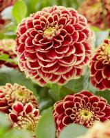 23cd8abe-1c56-11f1-8926-246e9611e8f6-1