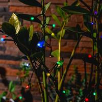 ecd3b3a4-2fbb-11ef-890e-246e9611e8f7-1