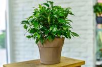 5e922230-5684-11ed-aea3-001e673ebdea-1