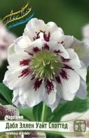 cee3377b-dd2a-11e5-a9f8-001e673ebdea-1