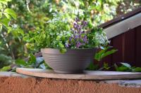 0d2a6615-58d1-11ed-aea3-001e673ebdea-1