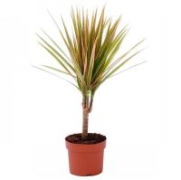 149d1f09-2458-11f1-8926-246e9611e8f6-1