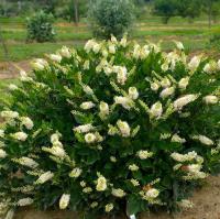 a7dc8418-d410-11f0-891e-246e9611e8f6-1