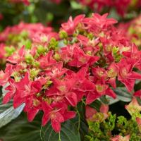 34a1a9eb-e08c-11ef-8915-246e9611e8f5-1