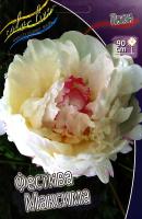 93ad9e5b-2cd2-11df-8833-0019dbe91ea3-1