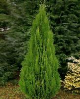 84aeb8c3-3a50-11e8-a7ea-005056c00008-1