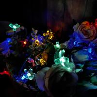 8cd8ef85-2fbd-11ef-890e-246e9611e8f7-1