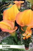 c58fe963-6532-11ea-96d0-005056c00008-1