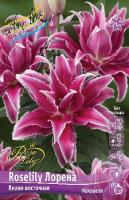 e6ea6539-6755-11ed-bd4c-001e673ebdea-1