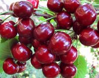 e35c9417-cc0b-11ef-8915-246e9611e8f5-1